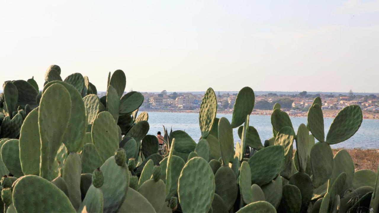 Medusa Mdna Marina di Modica Luaran gambar